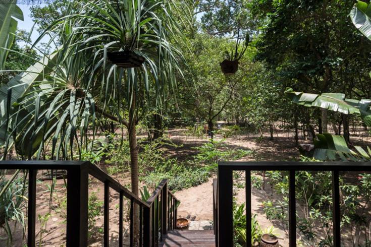 Baba Ecolodge Ko Phra Thong Exteriér fotografie